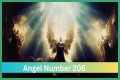 
ANGEL NUMBER 206
