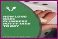 How long does it take for spot putty to dry?